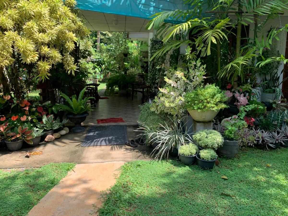 Tranquil Private Villa Near Bentota Beach Exterior foto
